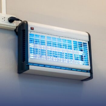 Εντομοπαγίδες